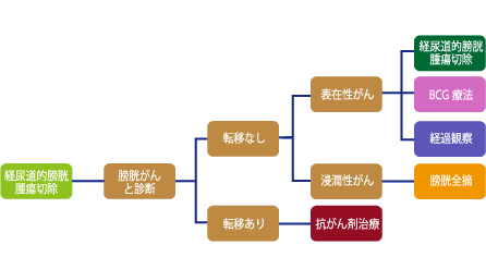 膀胱がんの治療方針